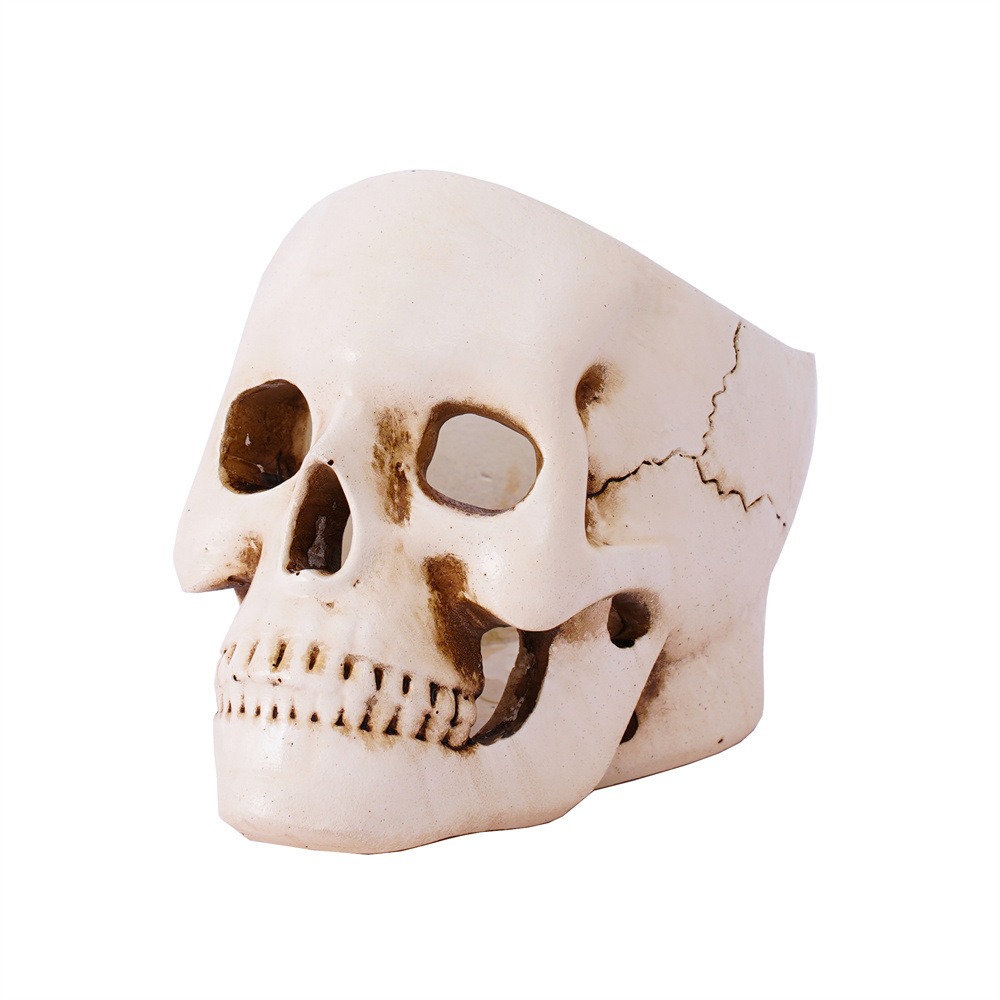 Bone-ivory resin skull showing brown staining and hairline cracks