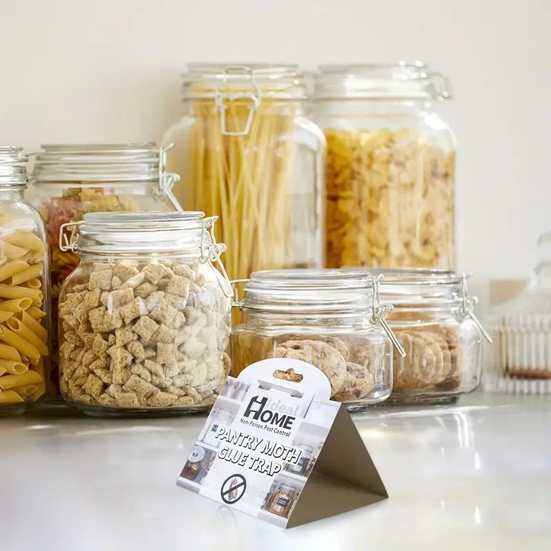 Glue trap standing on a counter beside jars of pasta and cereal