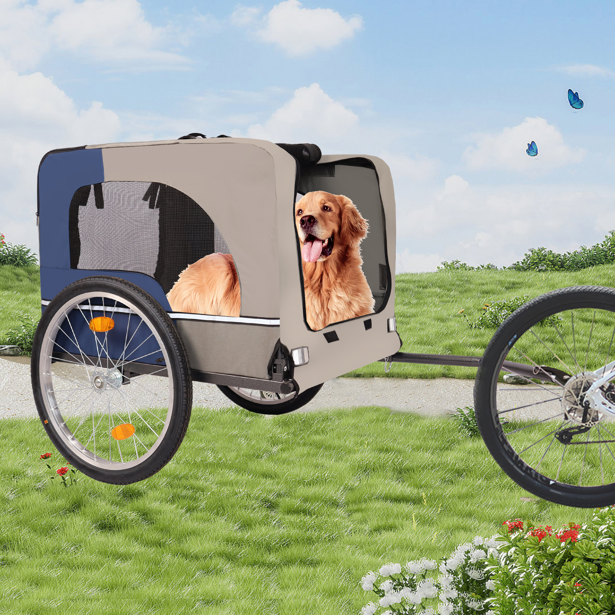 Golden retriever riding in a trailer on a grassy park path