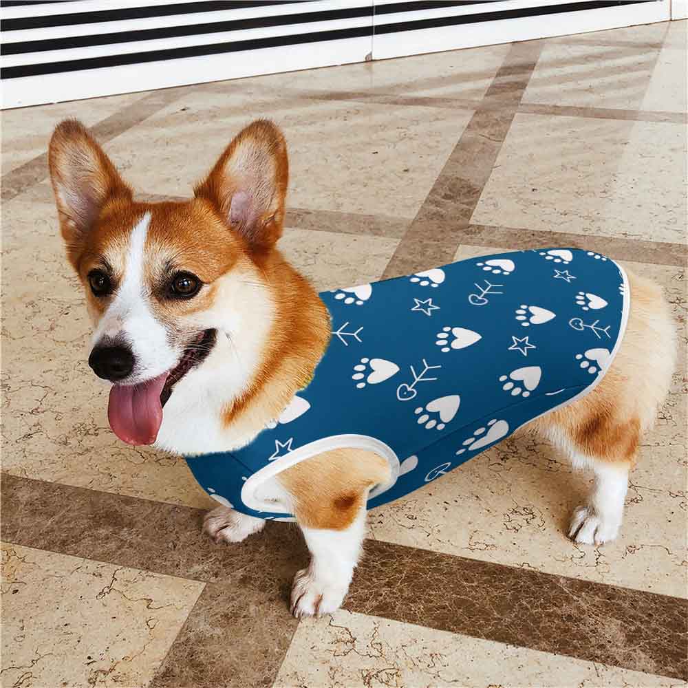 print on demand Pet Clothes