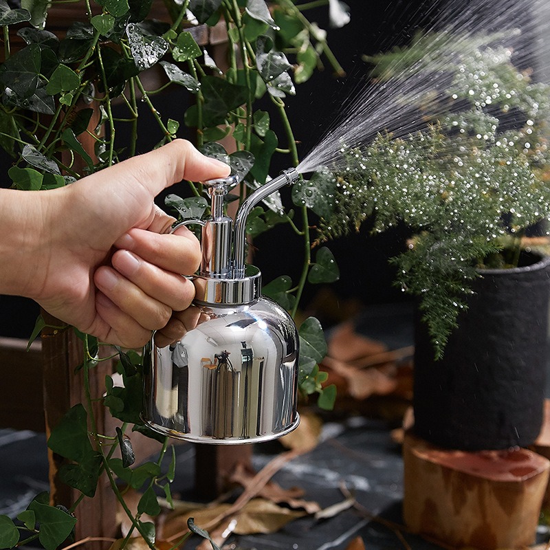 Polished chrome plant mister spraying a fern leaf