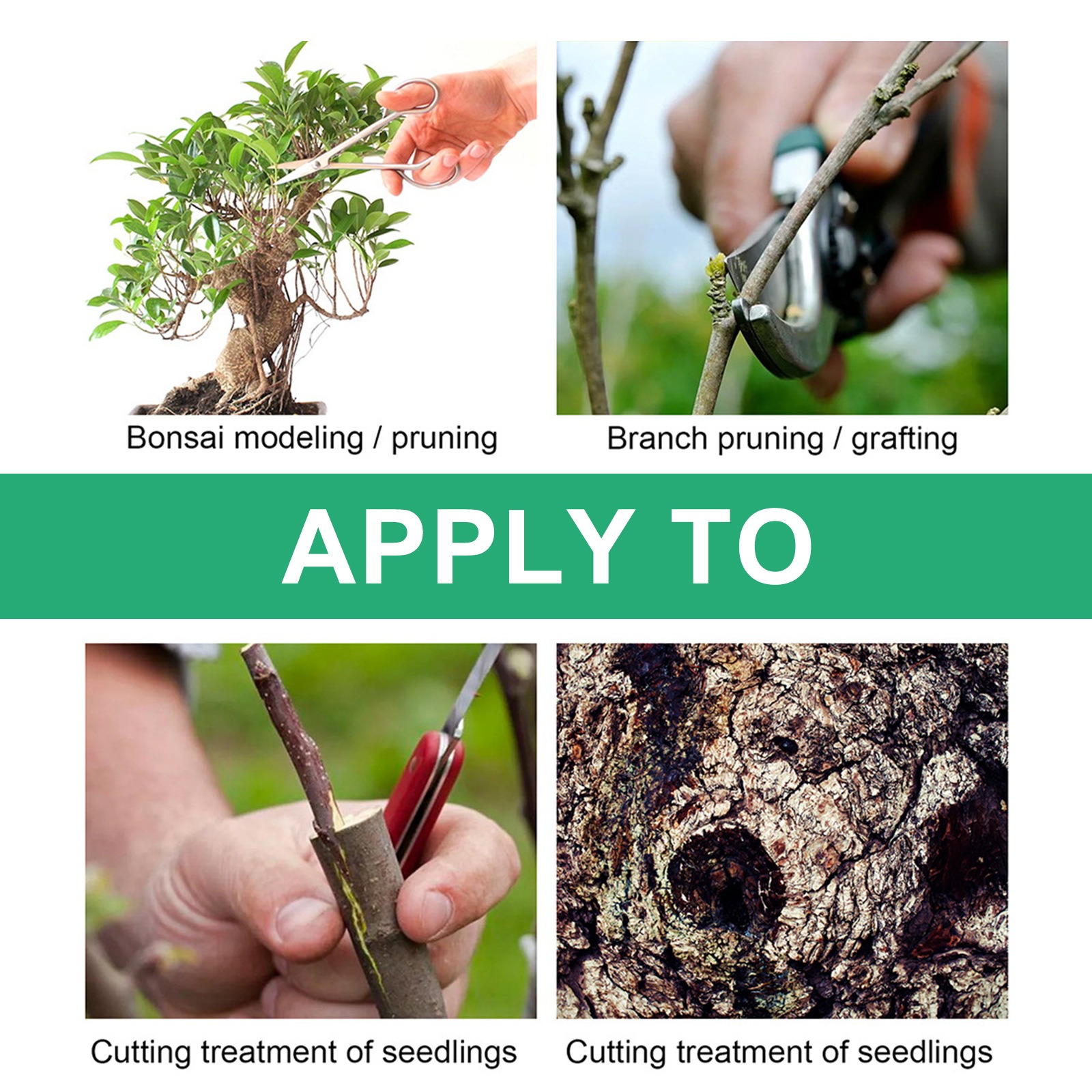 Bonsai pruning, branch grafting and seedling cuttings shown in four photos