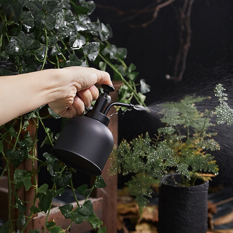 Hand misting ivy and fern leaves with a black plant mister