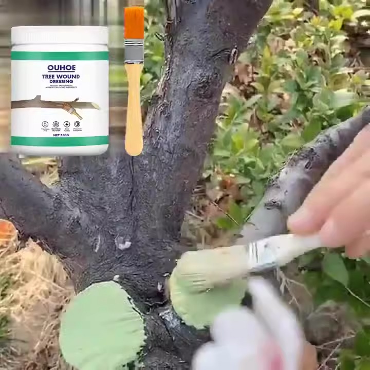 Hand brushing green tree wound paste onto a dark branch in a garden