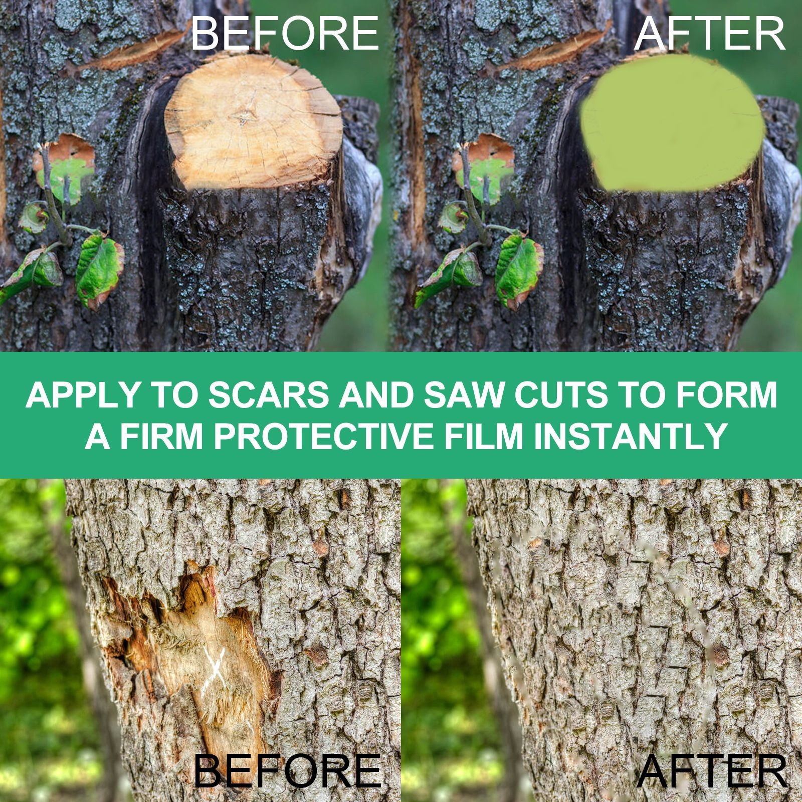 Before and after of a bark scar sealed with green paste