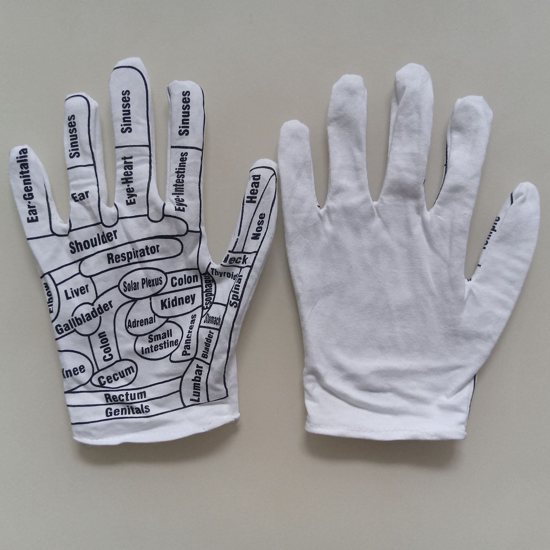 Flat lay comparison of pair showing front (mapped) and back (plain) sides of cotton gloves