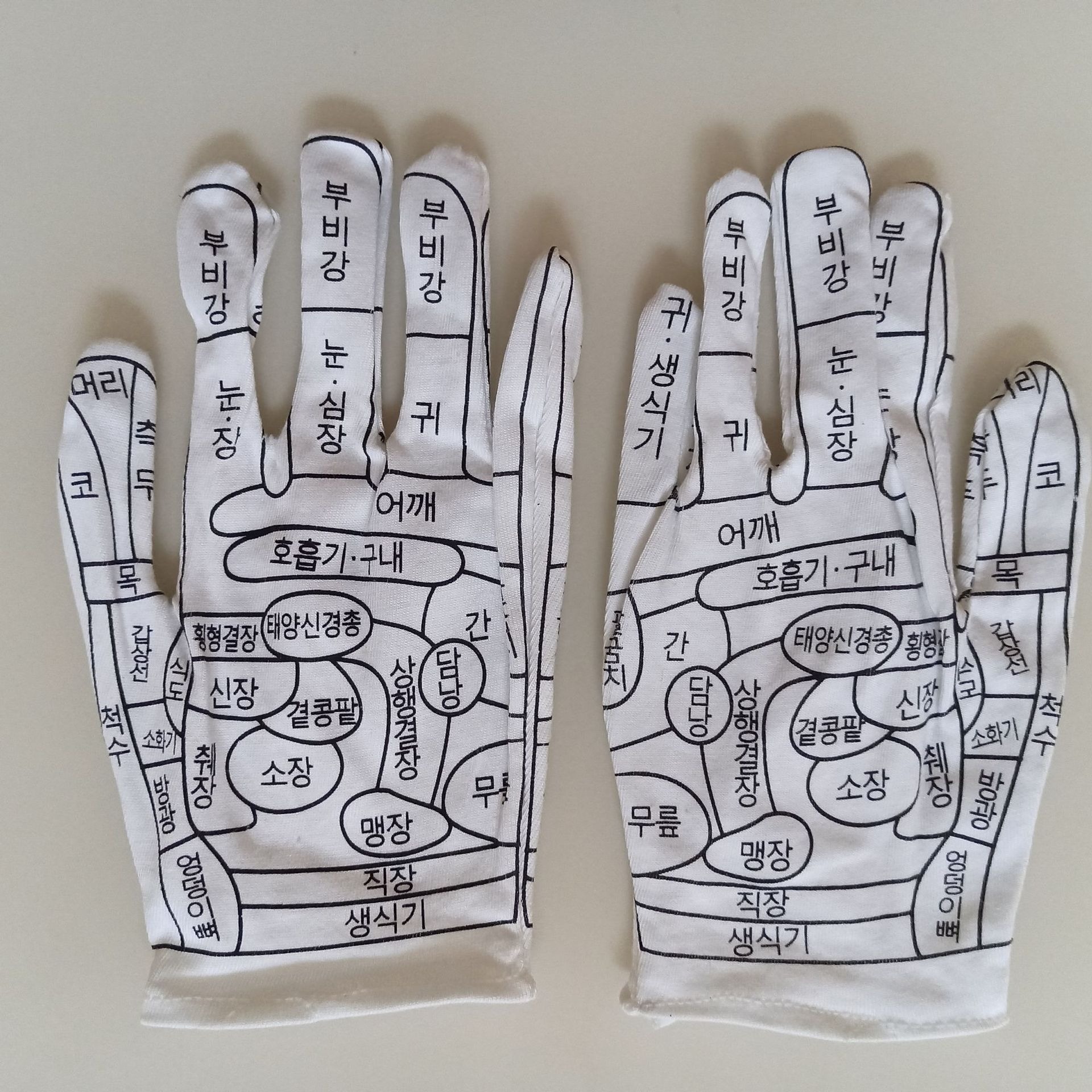 Both hands displayed flat showing complete meridian and organ zone mapping across all fingers and palm areas