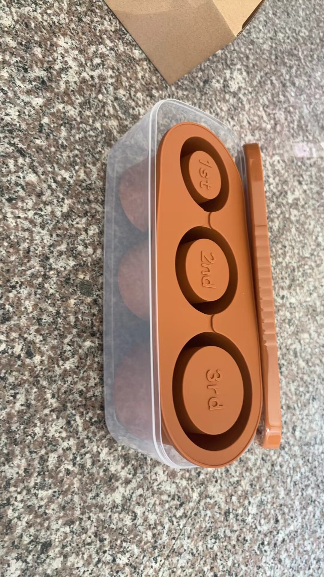 Terracotta silicone ice grid beside its clear plastic storage box with lid