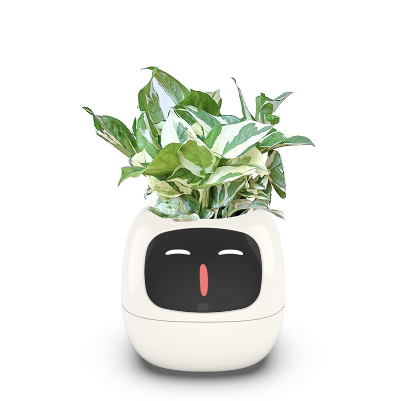 Round glossy planter with a green plant sitting on a tidy desk