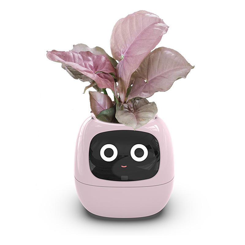 Desk plant in a plain pot beside a laptop and a stack of papers