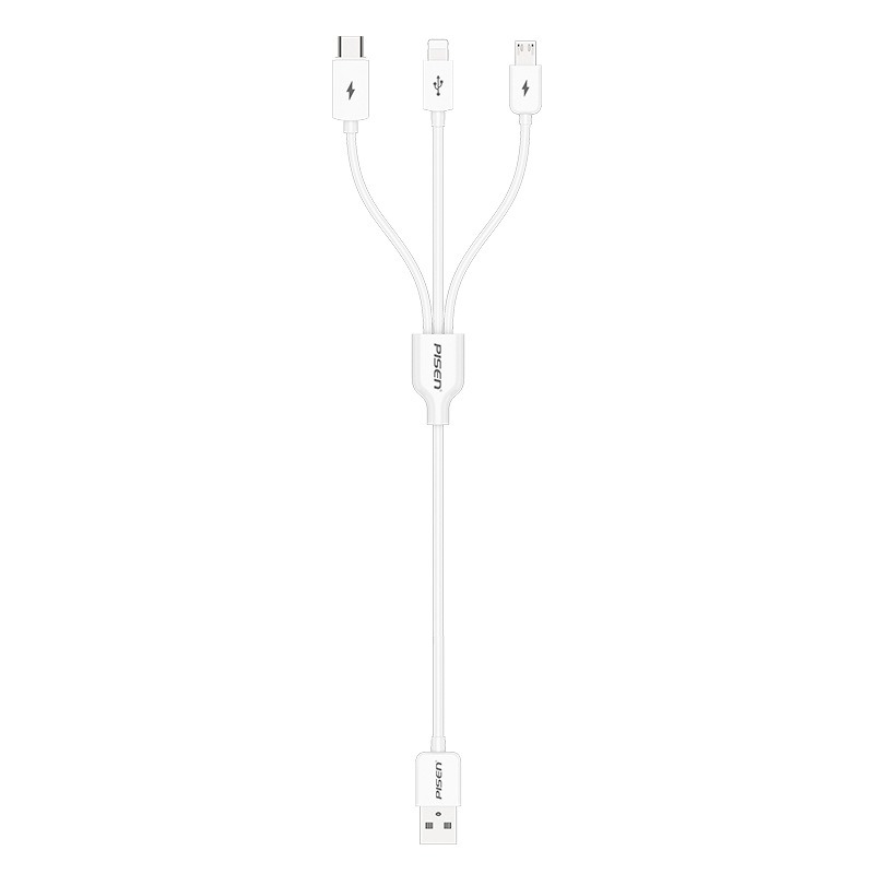 1-to-3 Car Charging Cable (1.2m) 3