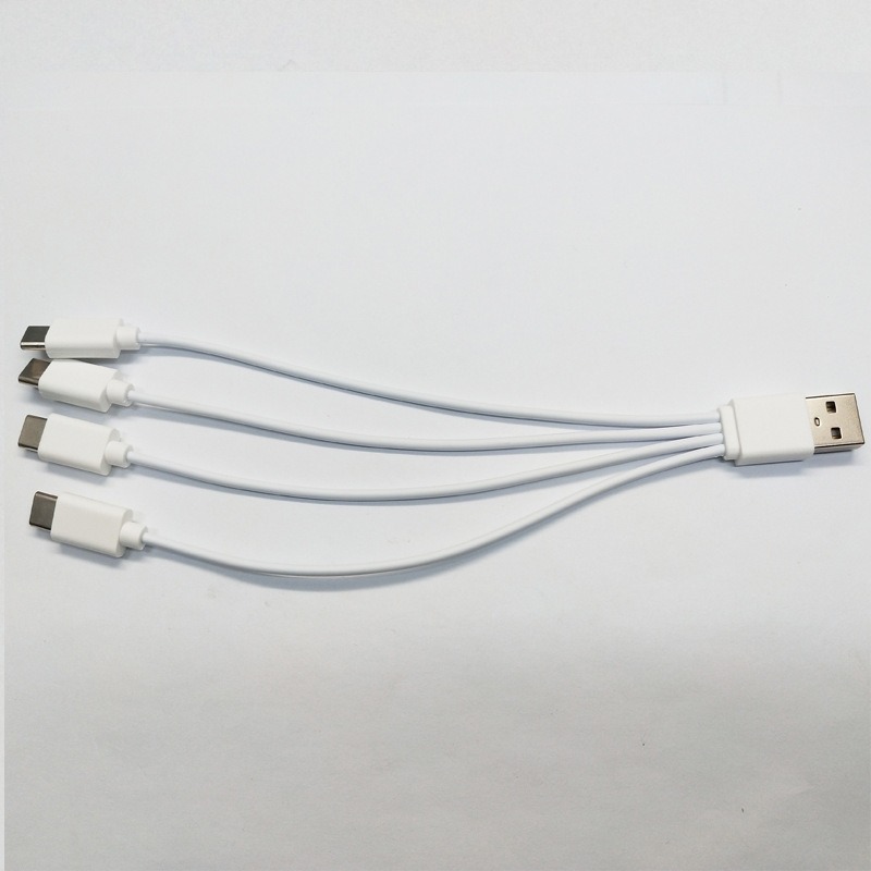 4-in-1 Type-C Multi-Head Charging Cable 2