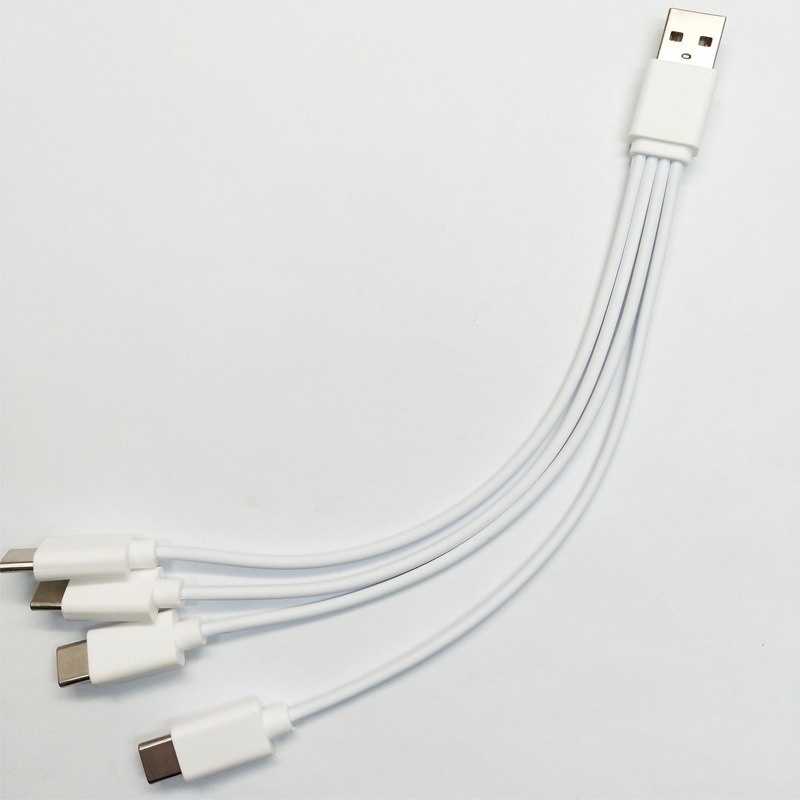 4-in-1 Type-C Multi-Head Charging Cable