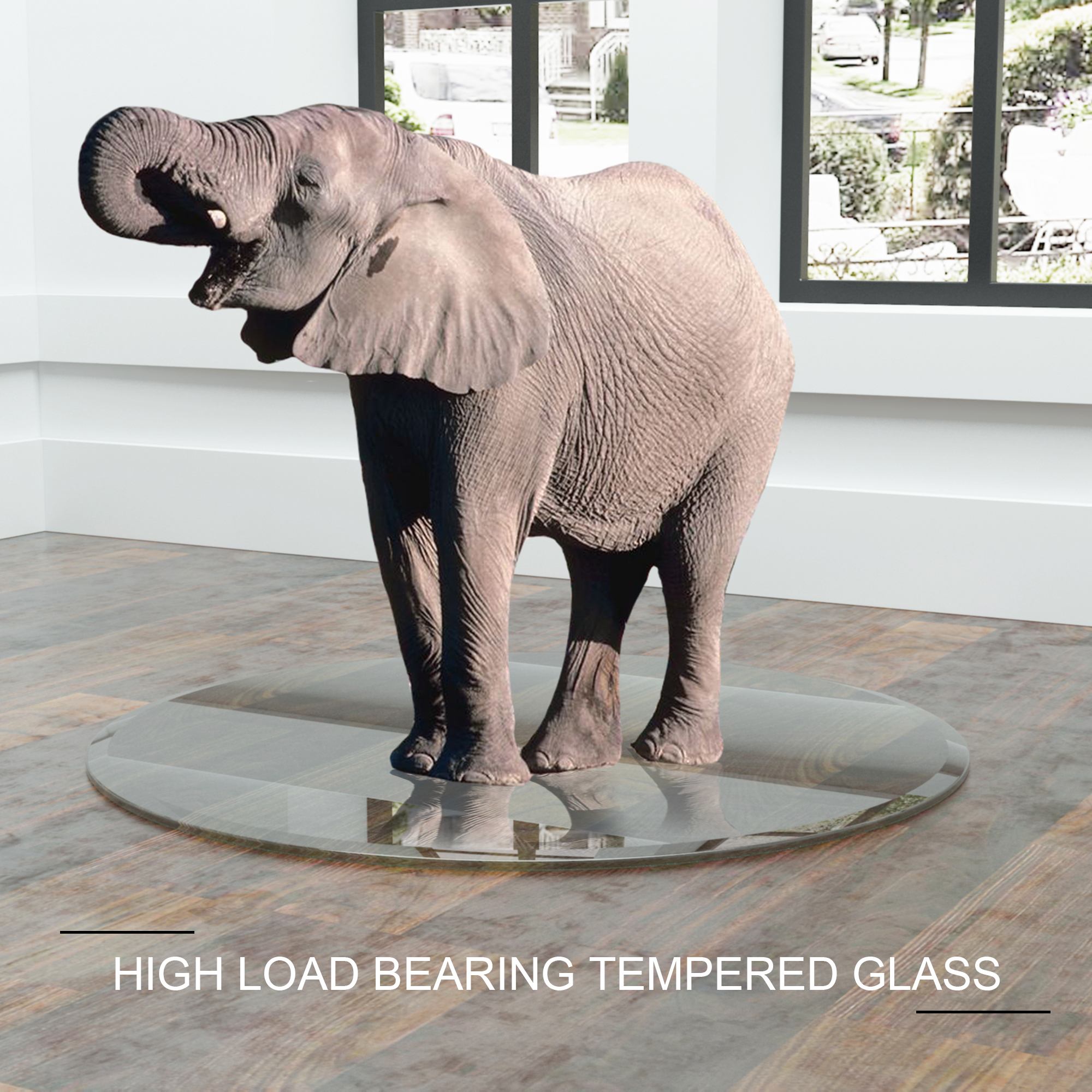 Elephant standing on a round clear glass top on a wood floor