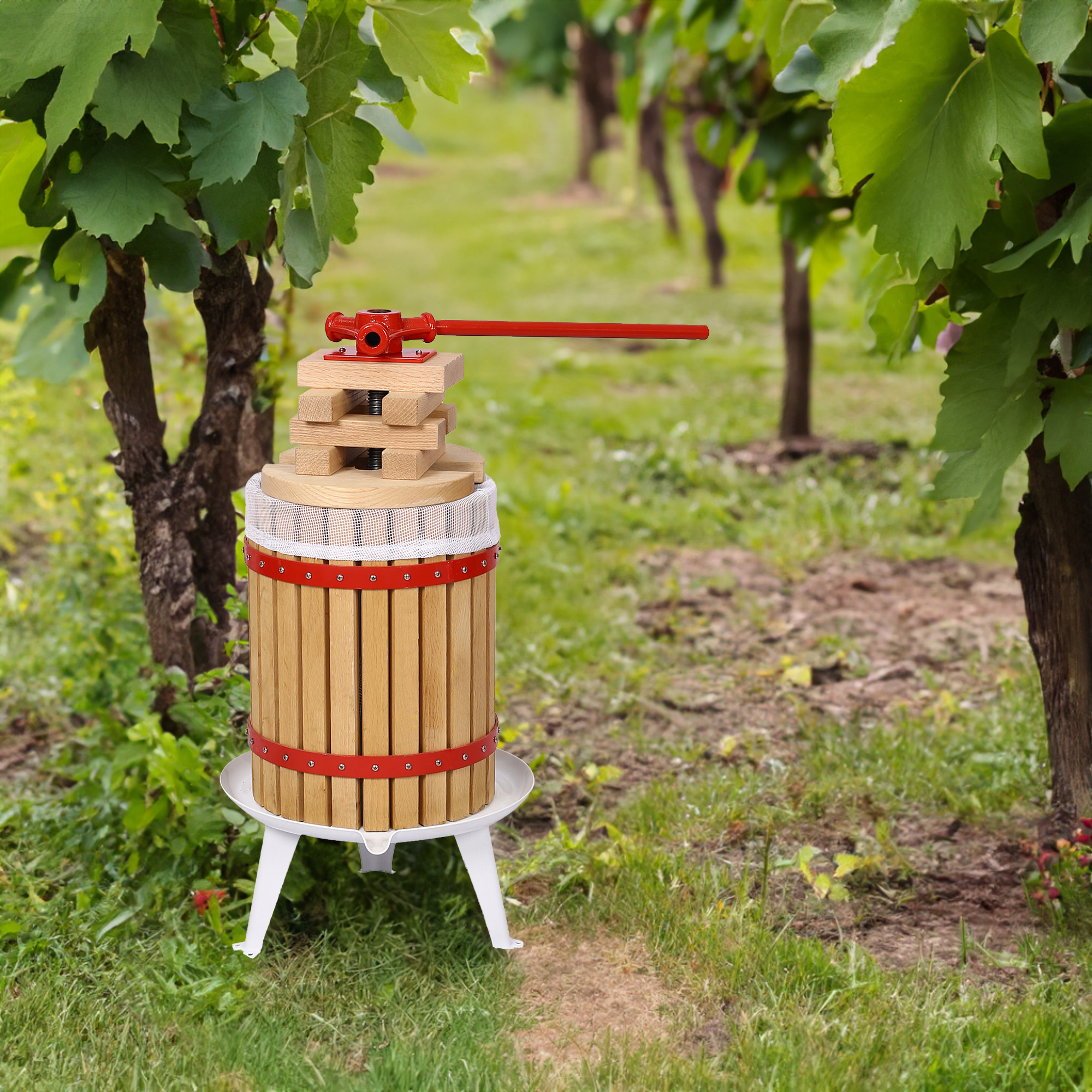 Wooden basket fruit press set among grapevines in an outdoor vineyard