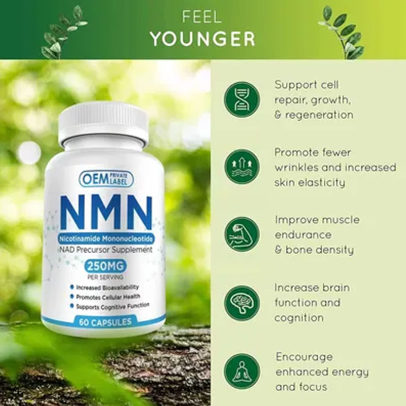 Collage of anti-aging benefit icons including cellular repair, skin elasticity, and brain function on a vibrant natural background