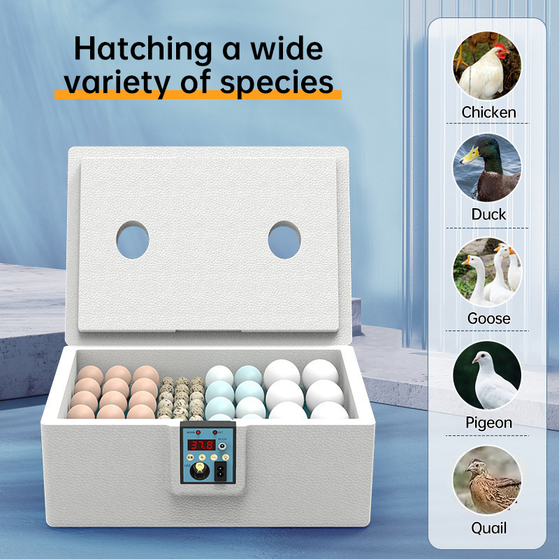 product name