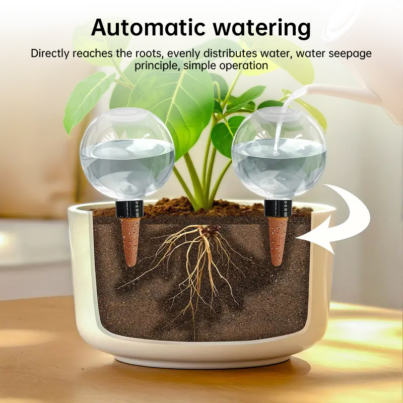 Diagram of water seeping from globes through soil to plant roots