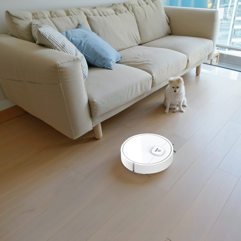Robot vacuum picking up pet hair in real home with dog present