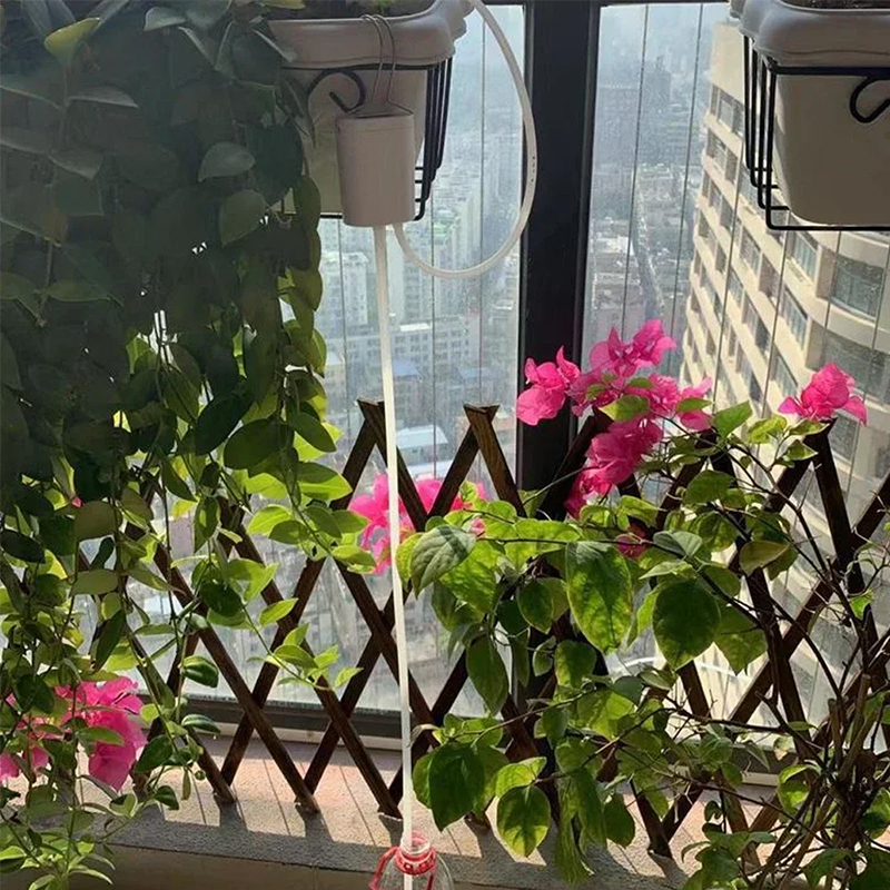Potted plants on a balcony waiting for water during a week away