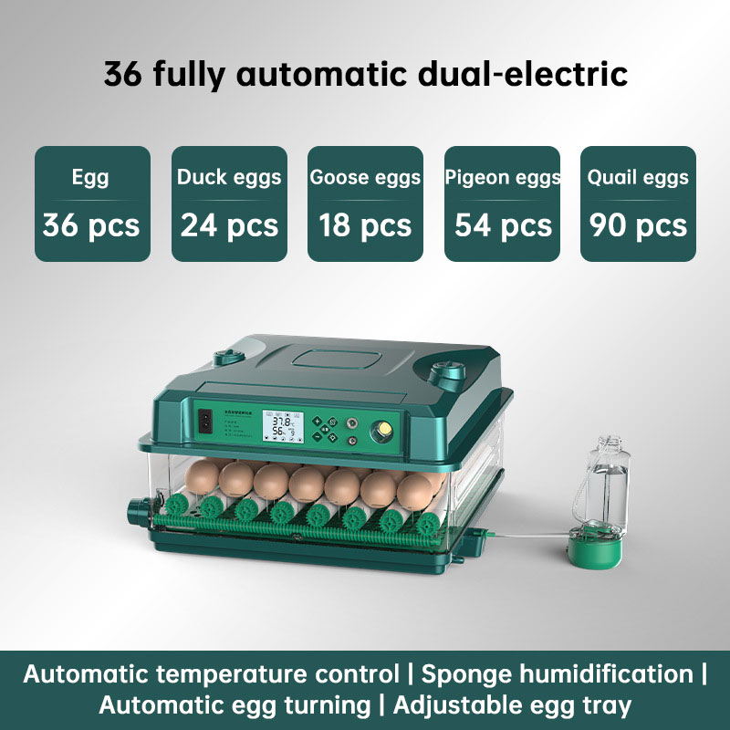24/36 Egg Incubator Fully Automatic, Auto Turner & Temp Control, Dual Power 220V/12V Mini Poultry
