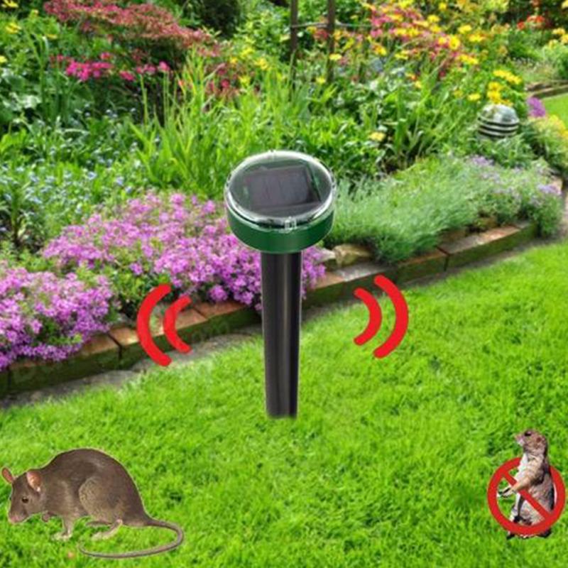 Repeller stake planted in a flower garden bed