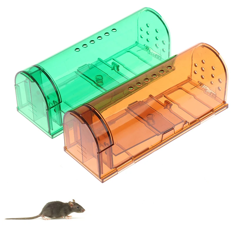 Gray mouse beside a green and amber transparent cage on a counter
