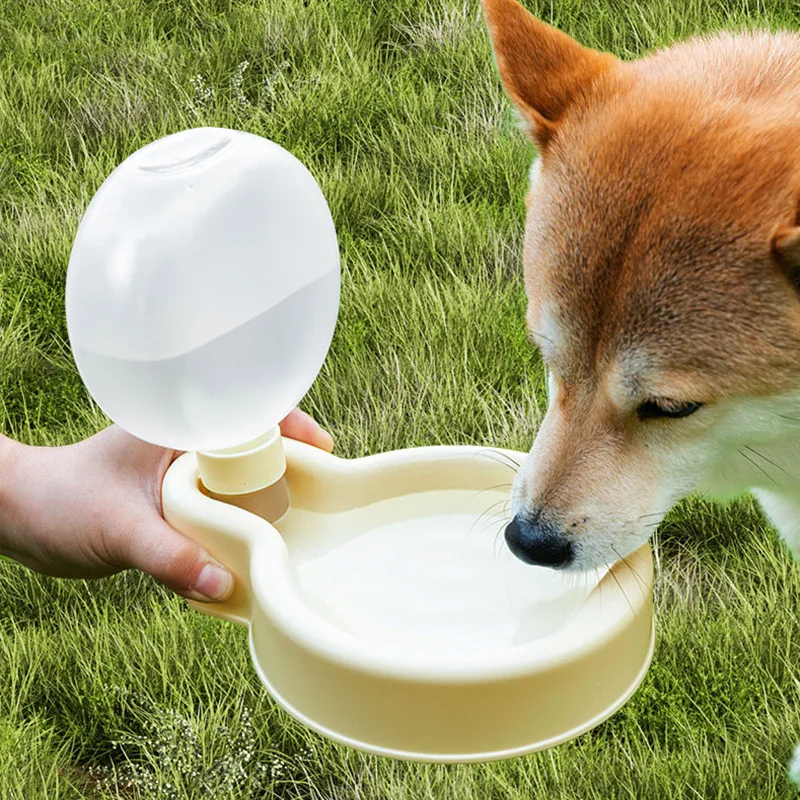 Shiba dog drinking from the cream bowl while a hand holds the bottle