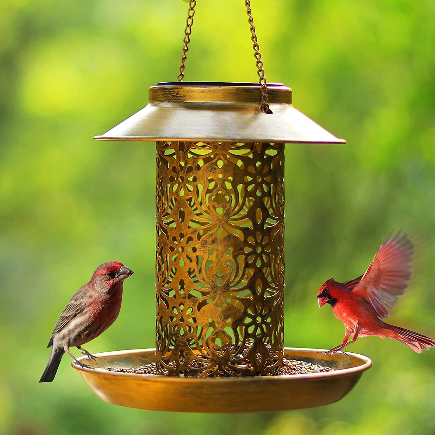 Gold metal feeder with seed tray, finch and cardinal feeding