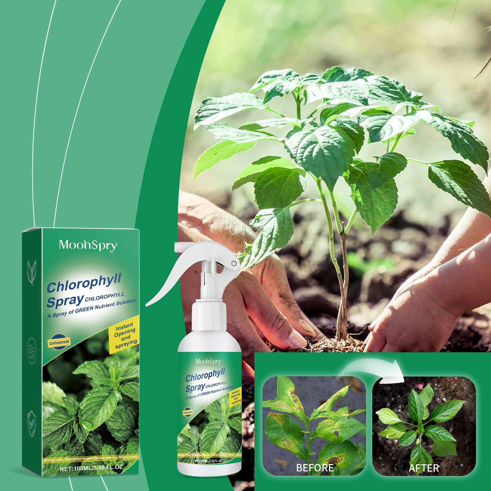 Chlorophyll spray bottle beside a seedling being planted by hands