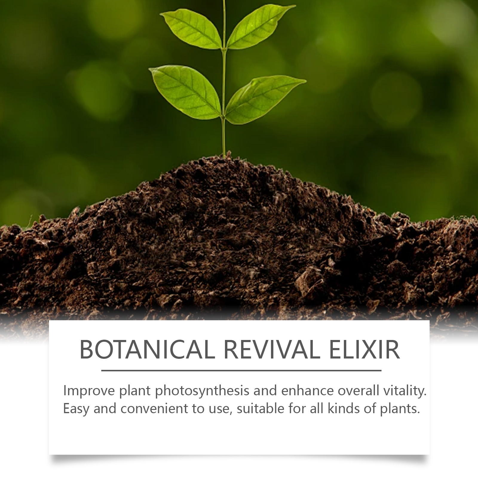 Seedling growing from soil mound with product headline and vitality text