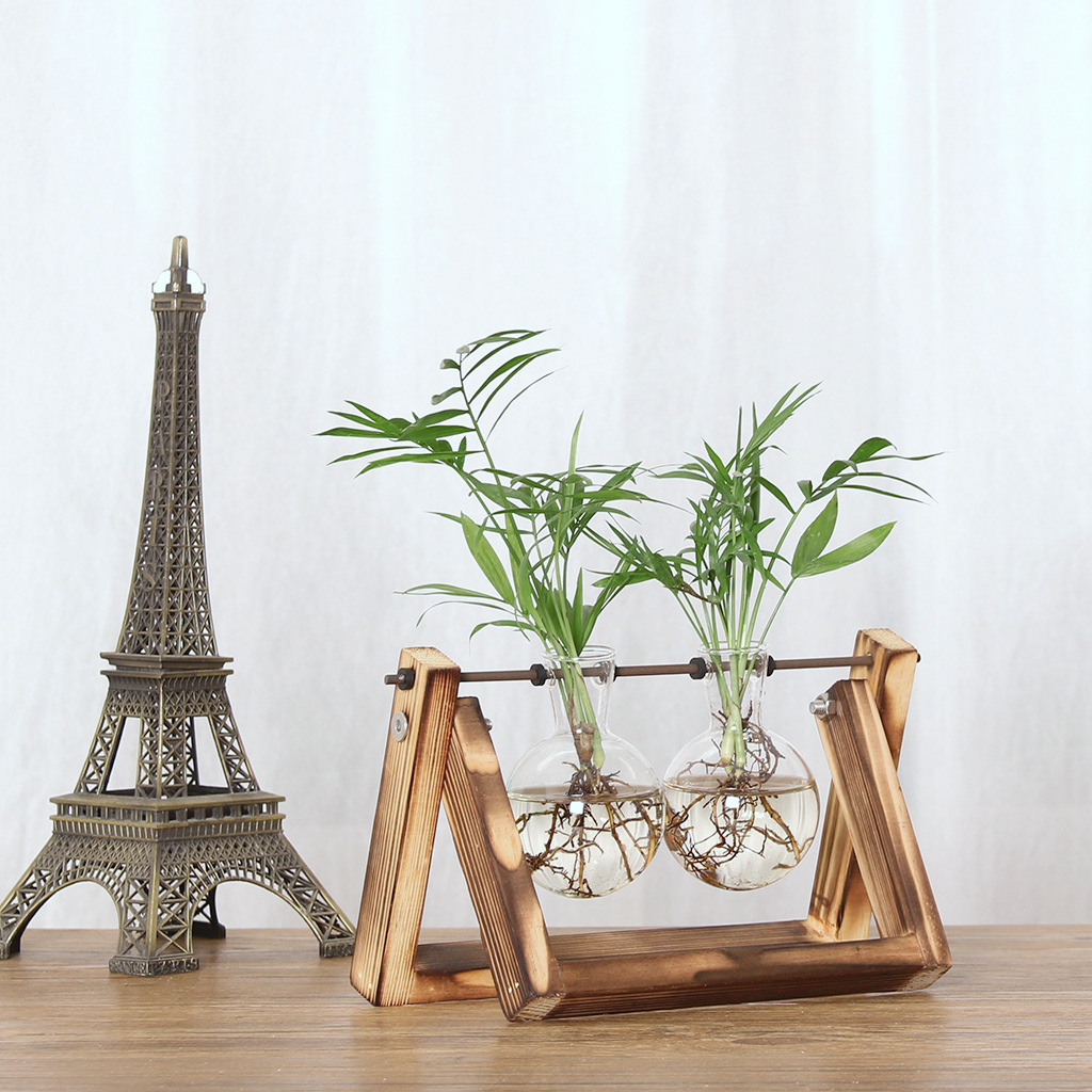Plant propagation stand on wooden desk beside miniature Eiffel Tower figurine